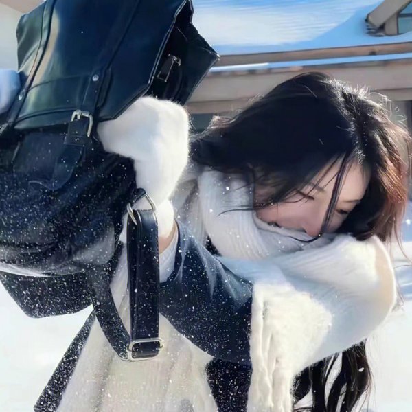 维也纳的姑娘们
